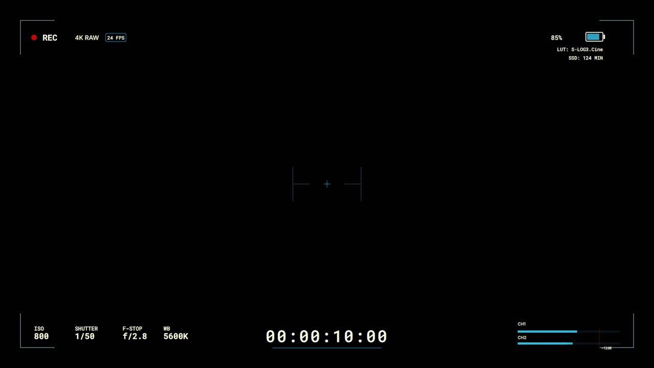 Digital Camera Recording Interface Overlay