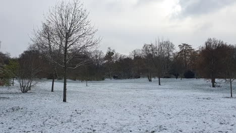 Schwenk-Nach-Rechts-Auf-Einen-Schneebedeckten-Park-Berlin-Im-Winter-In-Einem-Park-Hasenheinde-HD-30-Fps-8-Sek