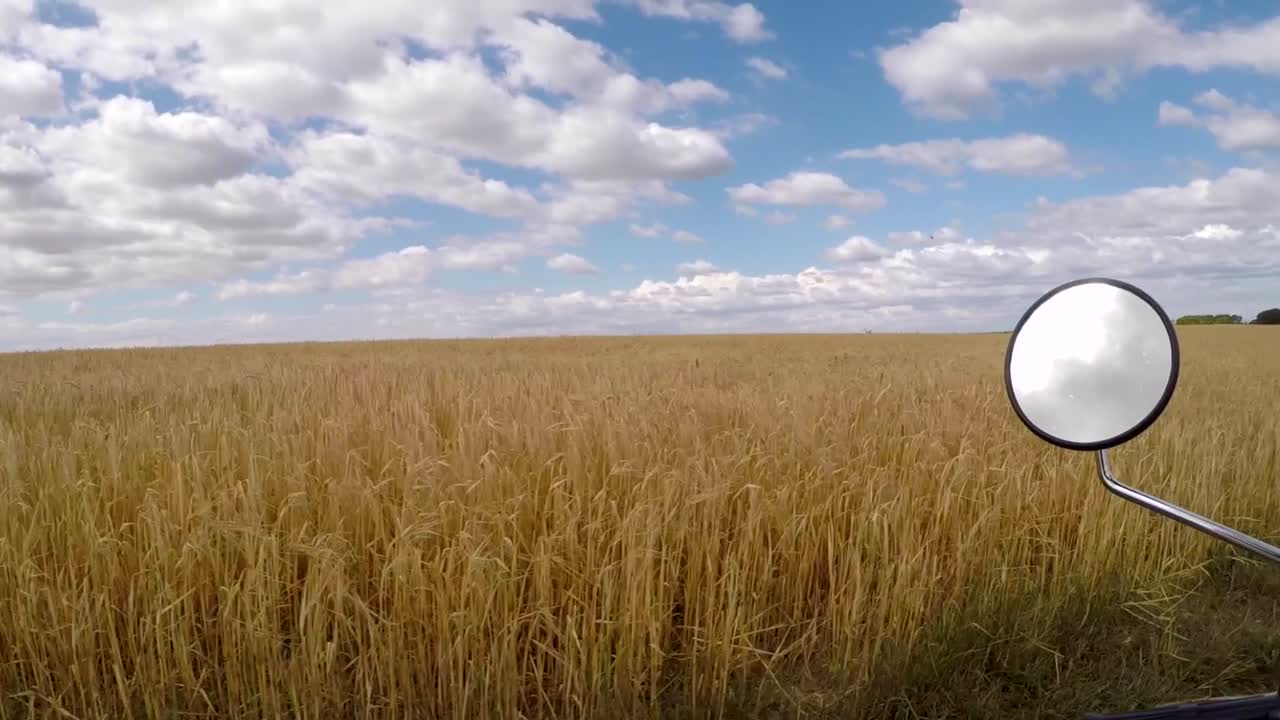 проезжая мимо сухого кукурузного поля на старом мопеде