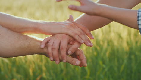 a group of energetic young farmers put their hands together on a background of blurred wheat