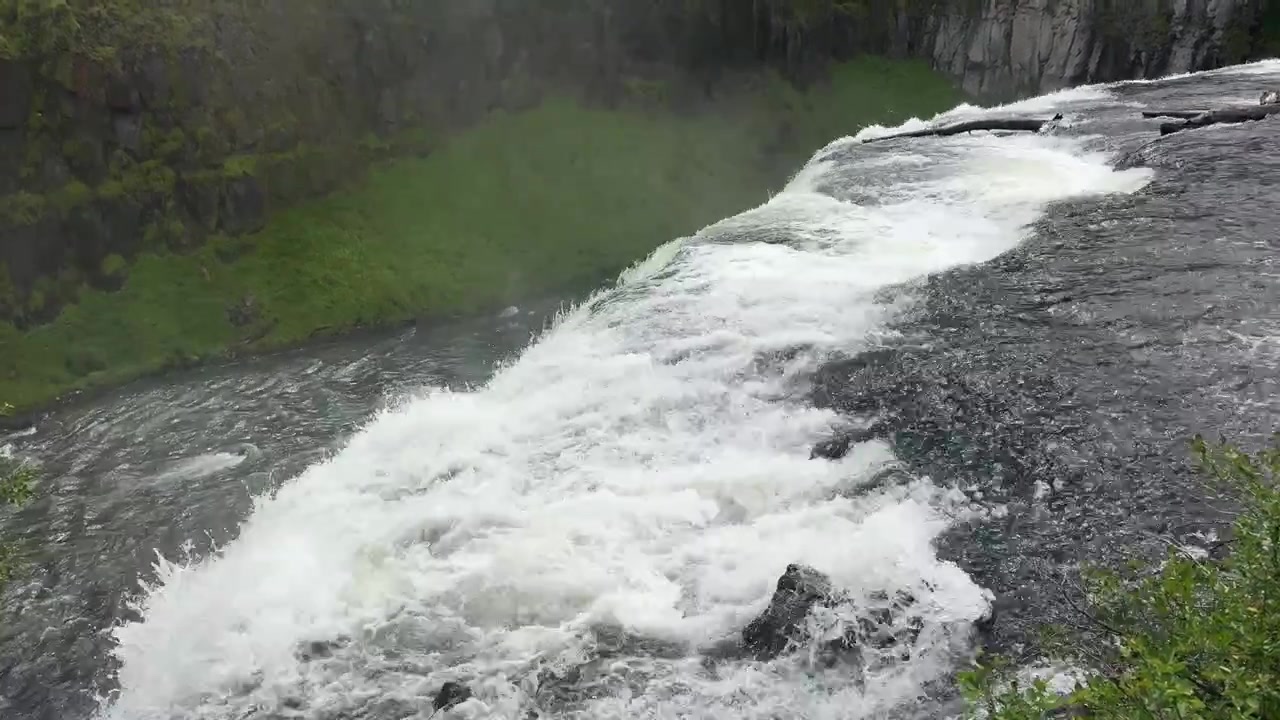 Le cascate Upper Mesa in Idaho, con acque bianche che si riversano a cascata nel baratro di un canyon boscoso e nebbioso.