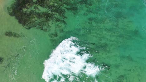 vista aérea de tortugas marinas nadando bajo la superficie del agua en unawatuna, sri lanka