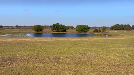 farmland hills landscape wide pan shot_iphone pro12 max_4k30fps.mp4