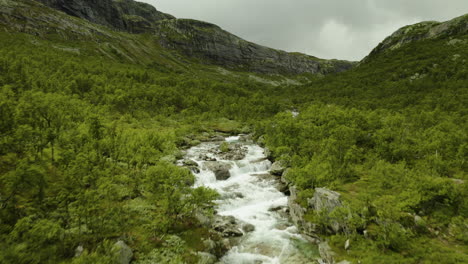 rocky stream flowing down the norwegian mountains surrounded by green plants in hydalen valley, hemsedal, norway