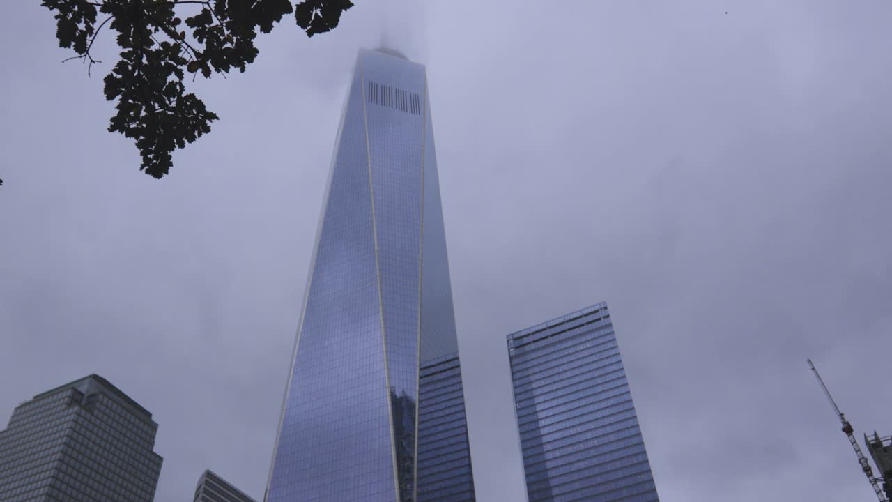Freedom Tower New York City with Tree