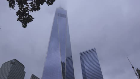 Torre-De-La-Libertad-De-La-Ciudad-De-Nueva-York-Con-árbol