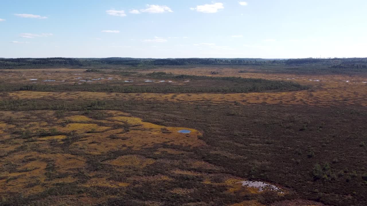 gran pantano durante el día. disparo de dron ascendente