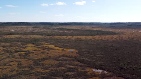 Gran-Pantano-Durante-El-Día.-Disparo-De-Dron-Ascendente