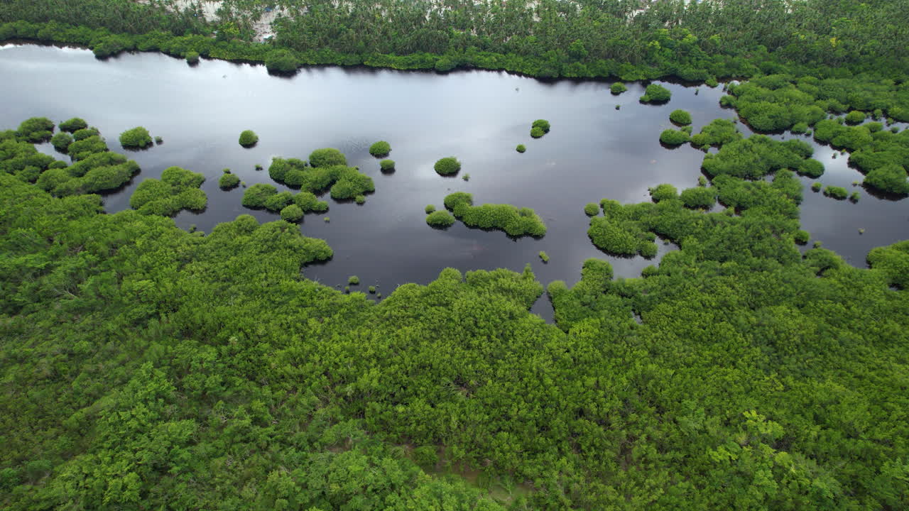 옆에 자연 호수가 있는 해변의 놀라운 수평선 공개, 카리브해 섬의 놀라운 전망