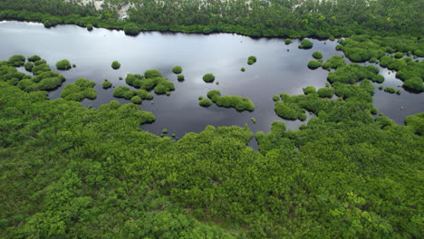 impresionante horizonte revelador de una playa con un lago natural al lado, vista increíble en una isla caribeña
