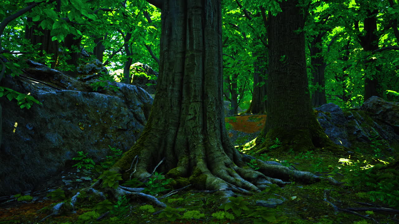 Exploring the lush forest with towering trees and vibrant greenery