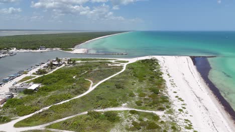 aerial view of an untouched coastline in yucatán, mexico. turquoise caribbean waters meet dense green jungle under a bright summer sky