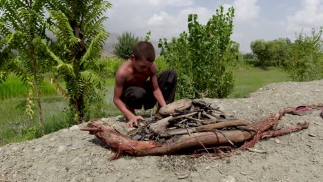 Child-on-Firewood-Gathering