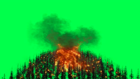 forest fire on green screen