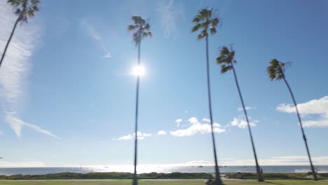 gimbal wide moving shot of palm trees along east beach on a sunny day in santa barbara, california. 4k