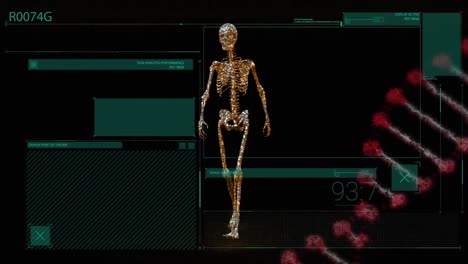 animación del procesamiento de datos y el esqueleto sobre la cadena de adn