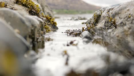 Gentle-ocean-waves-lap-against-rocks,-crashing-into-focus-as-they-are-forced-through-a-narrow-gap-in-the-rocks-towards-the-camera-which-is-focused-on-seaweed-filled-rockpools