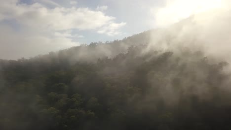 산기슭에 아침 안개