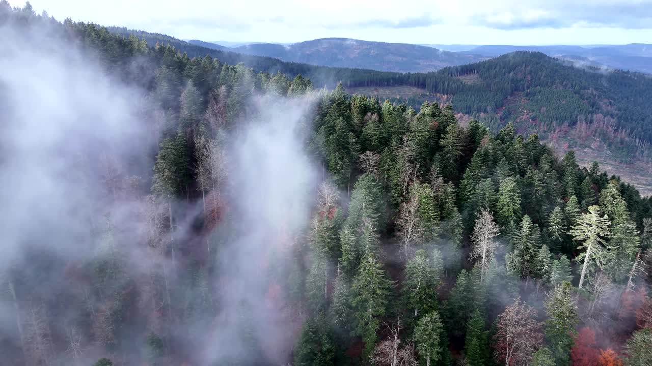 Kiertävä ilmakuva erittäin synkän, pimeän ja kylmän metsän yläpuolelta nopeasti liikkuvien pilvien kera 4K-laadulla