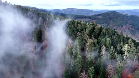 aerial orbiting above a super moody dark and cold forest with fast moving clouds in 4k