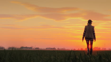 A-Confident-Farmer-Walks-Across-The-Field-Towards-The-Rising-Sun-Against-The-Backdrop-Of-Picturesque