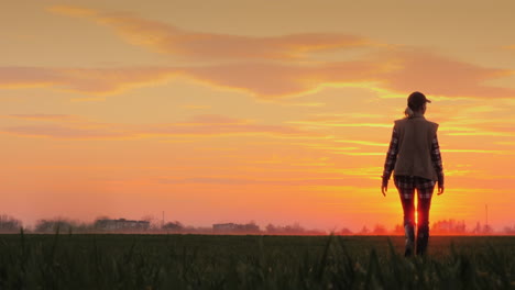 a confident farmer walks across the field towards the rising sun against the backdrop of picturesque