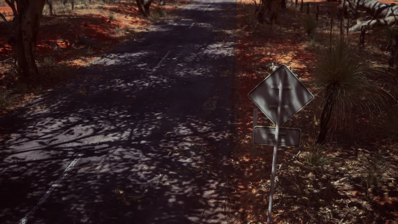 camino al interior con hierba seca y árboles