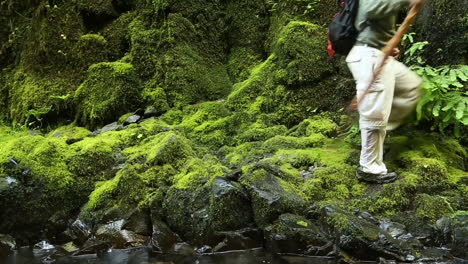 a man hikes with a walking stick across a green mossy landscape