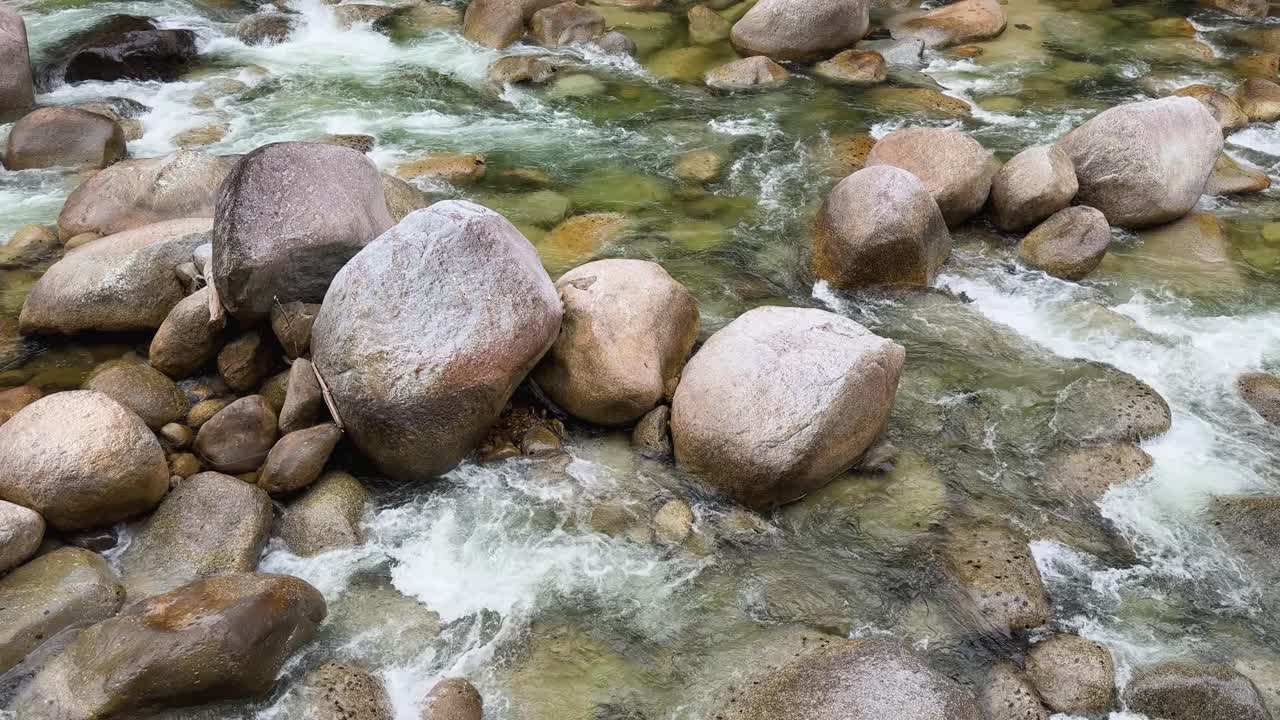 A tranquil river cascades over smooth, moss-covered boulders, surrounded by lush greenery in a rainforest setting