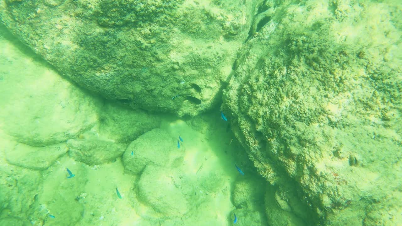 Underwater scene with rocks and fish in clear, sunlit waters of Laem Singh Beach, Phuket, Thailand
