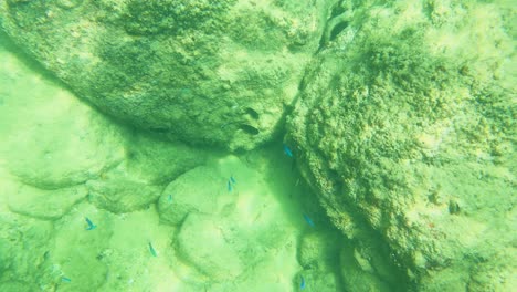 Underwater scene with rocks and fish in clear, sunlit waters of Laem Singh Beach, Phuket, Thailand