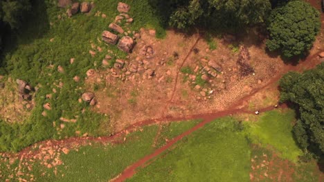 Aerial-view-rustic-path-in-the-jungle,-Senegal,-Africa,-green-landscape,-high-angle-shot