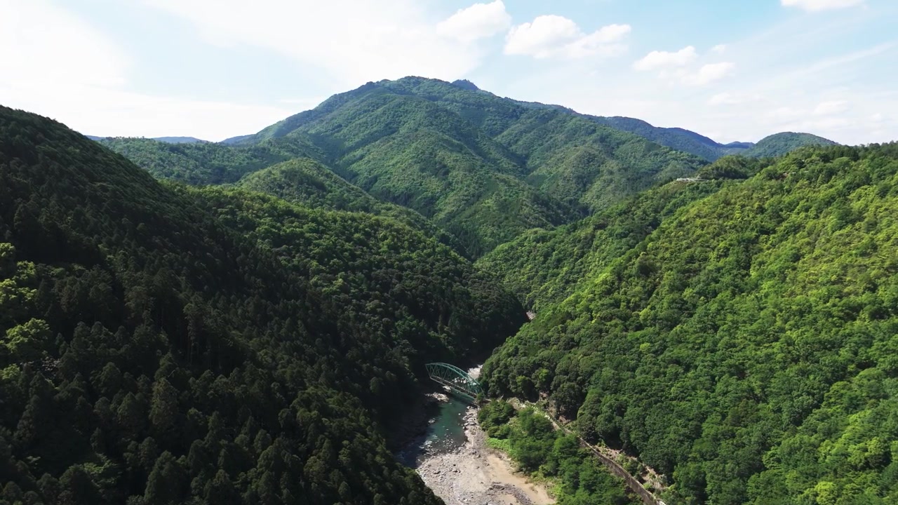 日本の京都にある緑色の鉄道橋に向かって飛ぶ