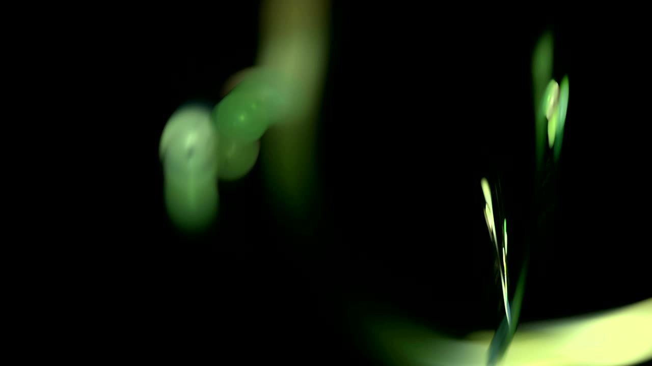 patrón verde colorido fondo de movimiento abstracto