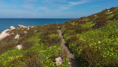 playa natural panorámica en la isla de malta