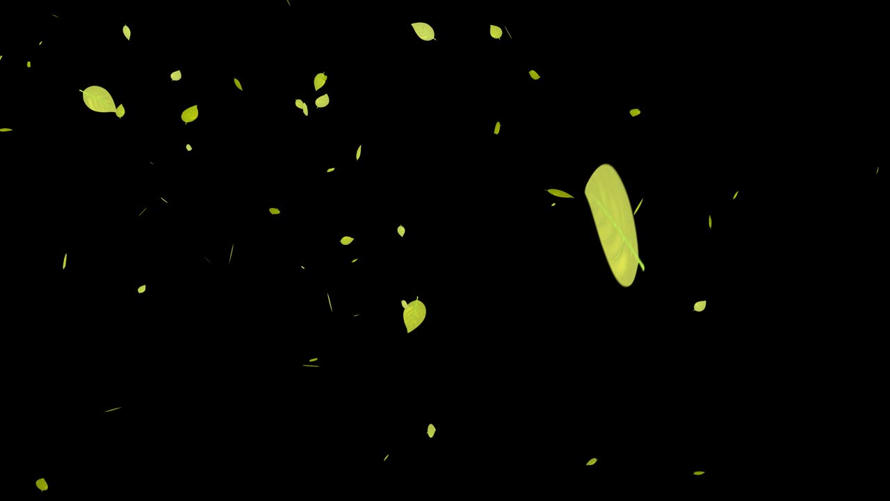 노란 잎, 가을 잎, 떨어지는 입자, 모션 그래픽