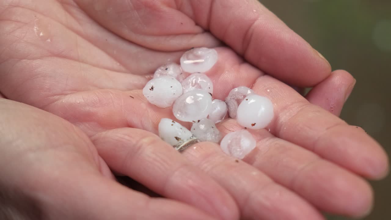 manos de mujer sosteniendo piedras de granizo del tamaño de mármol blanco después de una tormenta de granizo, primer plano, cámara lenta 4k