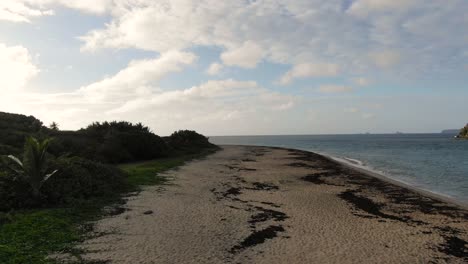 Quiet-tropical-beach-with-seaweed-on-sand,-green-foliage,-and-calm-sea-under-partly-cloudy-sky