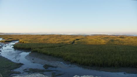 Slow-dolly-left-shot-of-Salt-Meadow-at-golden-hour