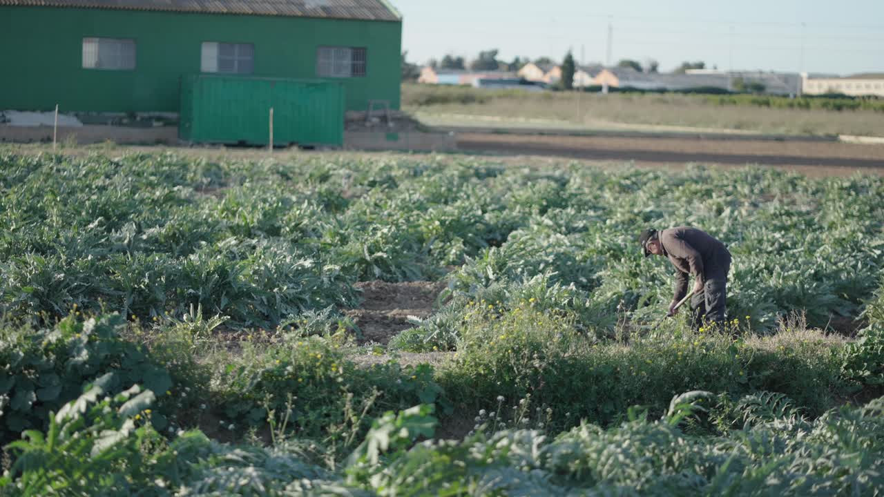 에서 일 하는 농부