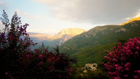 Flowers-with-Tymfi-mountain-range-in-the-background,-wide-shot,-time-lapse