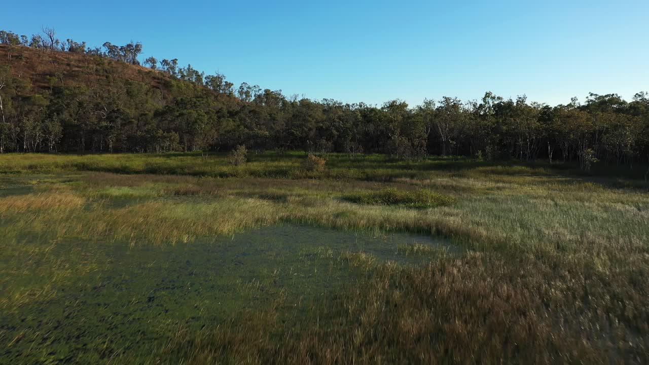 cairns - pantano - lago vuelo
