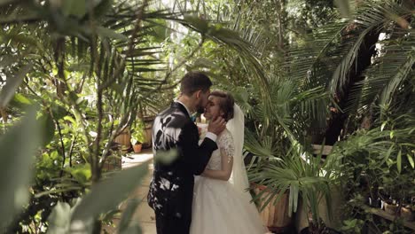 recién casados. novio caucásico con la novia en el parque. pareja de bodas. familia feliz