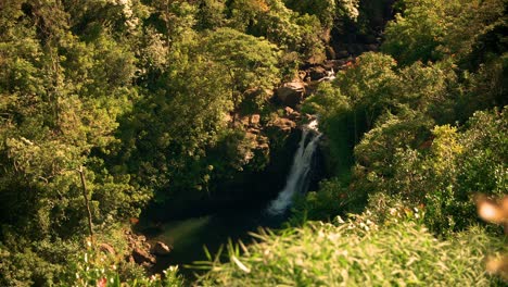 Hawaii-Wasserfall-Schmetterling-In-Zeitlupe