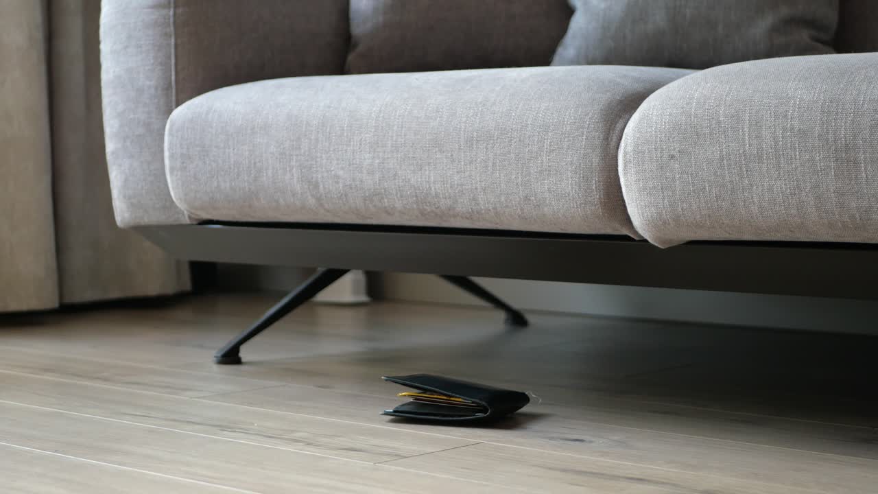 billetera perdida debajo del sofá