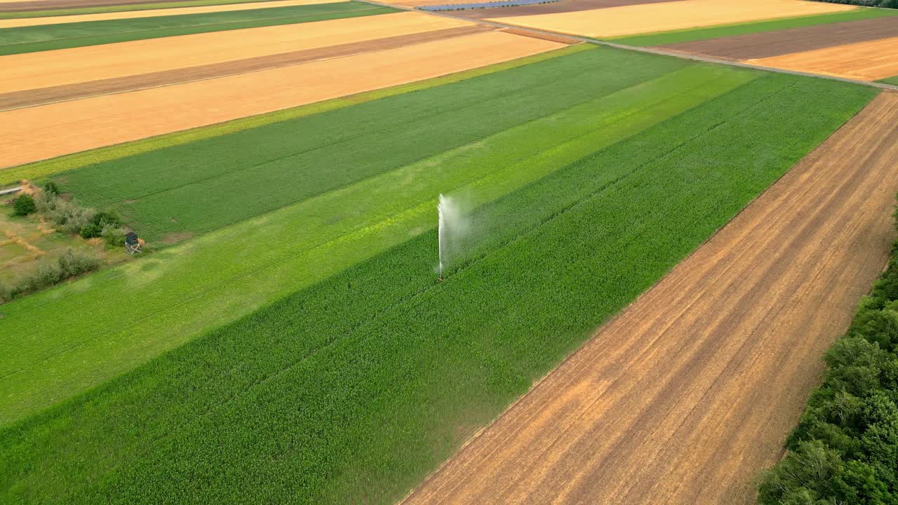 campos de hortalizas agrícolas orgánicos con riego en la región de marchfeld, austria