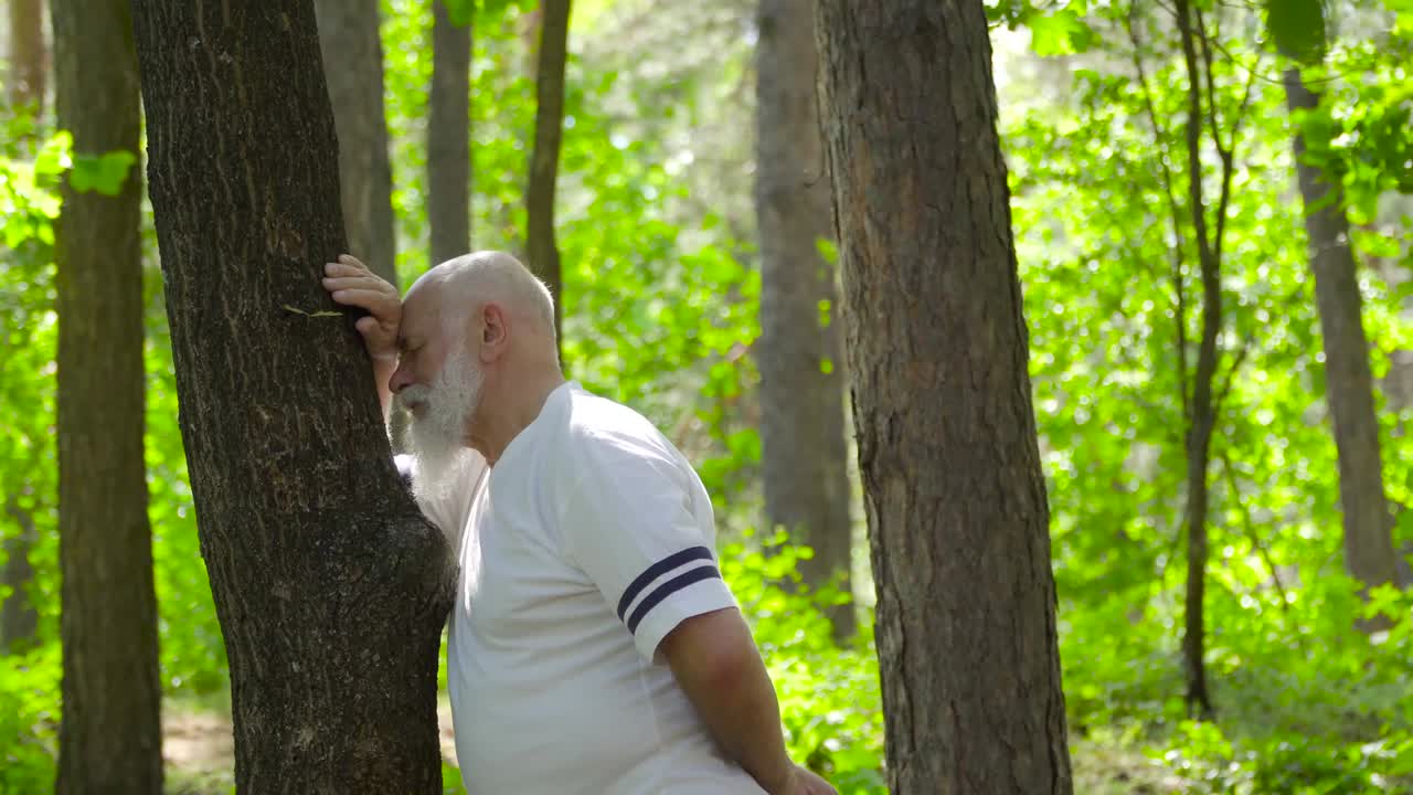 hombre mayor relajándose y apoyándose en el tronco del árbol en el bosque de verano