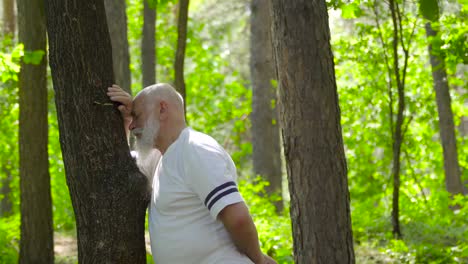 senior man relaxing and leaning at tree trunk in summer forest