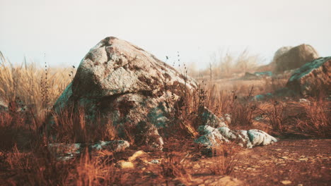 dry-grass-and-rocks-landscape