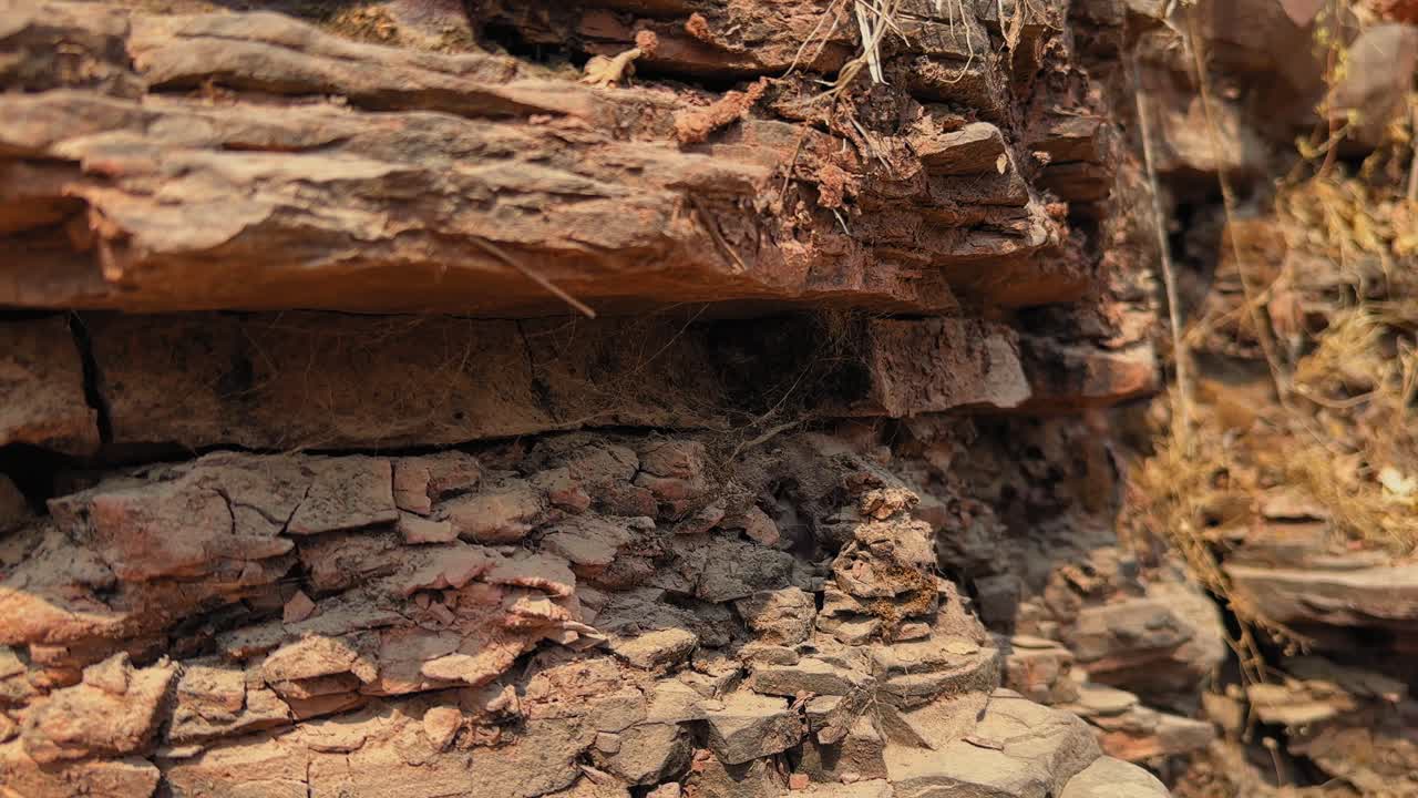La telecamera si muove lungo strati di roccia sedimentaria esposti sul fianco di una collina, rivelando strati orizzontali formati dalla graduale deposizione di sedimenti nel corso di un lungo tempo geologico.